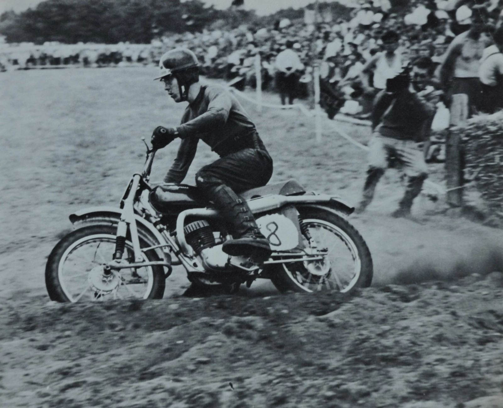 European Champion